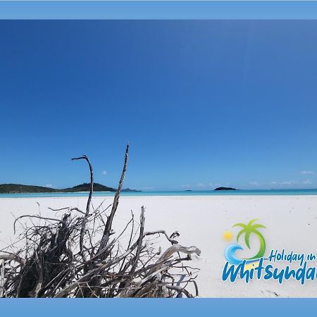 Central Ocean View Studio 27A Airlie Beach Exteriör bild